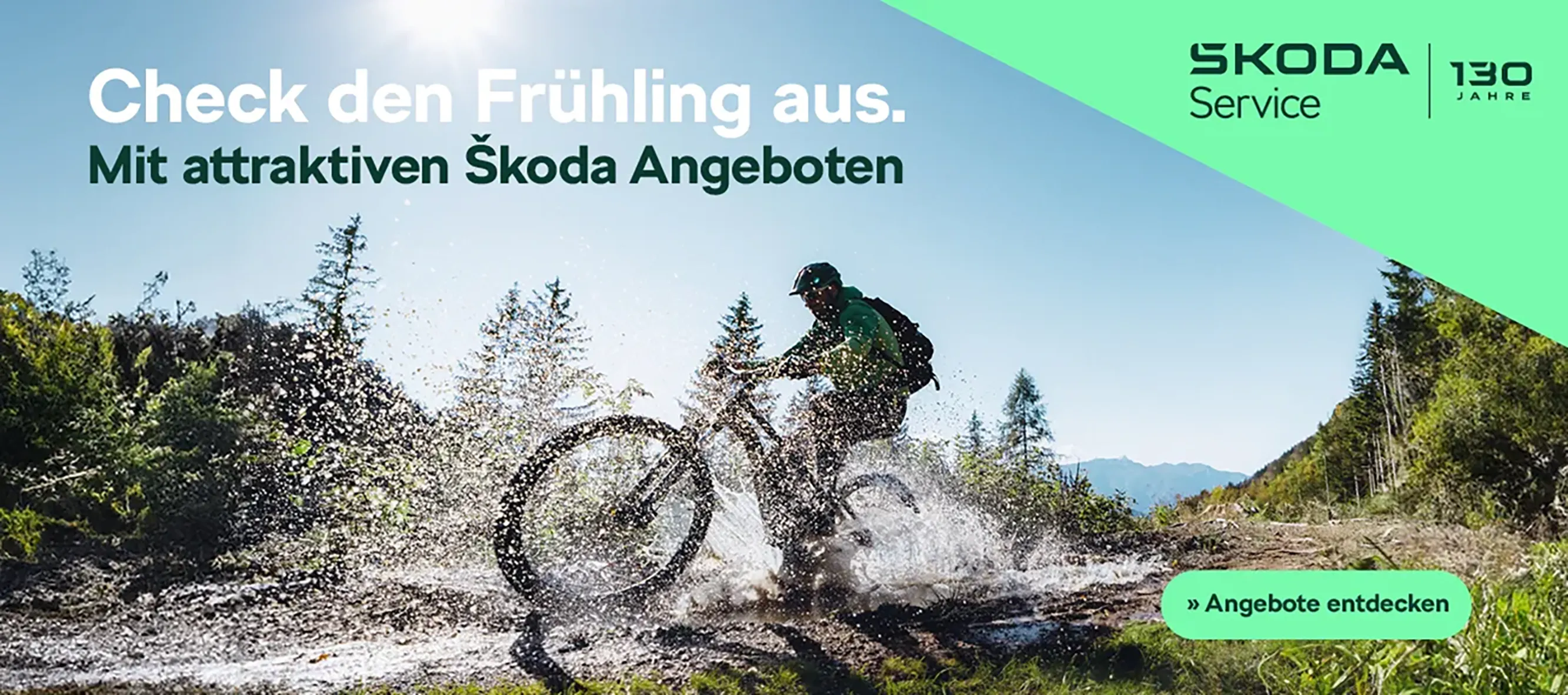 Skoda Service Frühling 2025