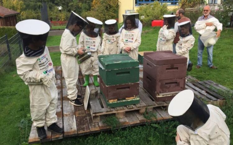  Bienenprojekt Waldbachschule
