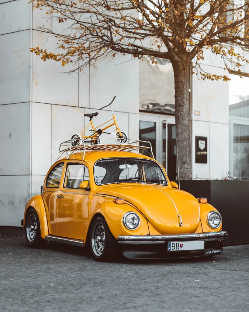 martin-katler-V58Dl1fv42c-unsplash-623b3263
