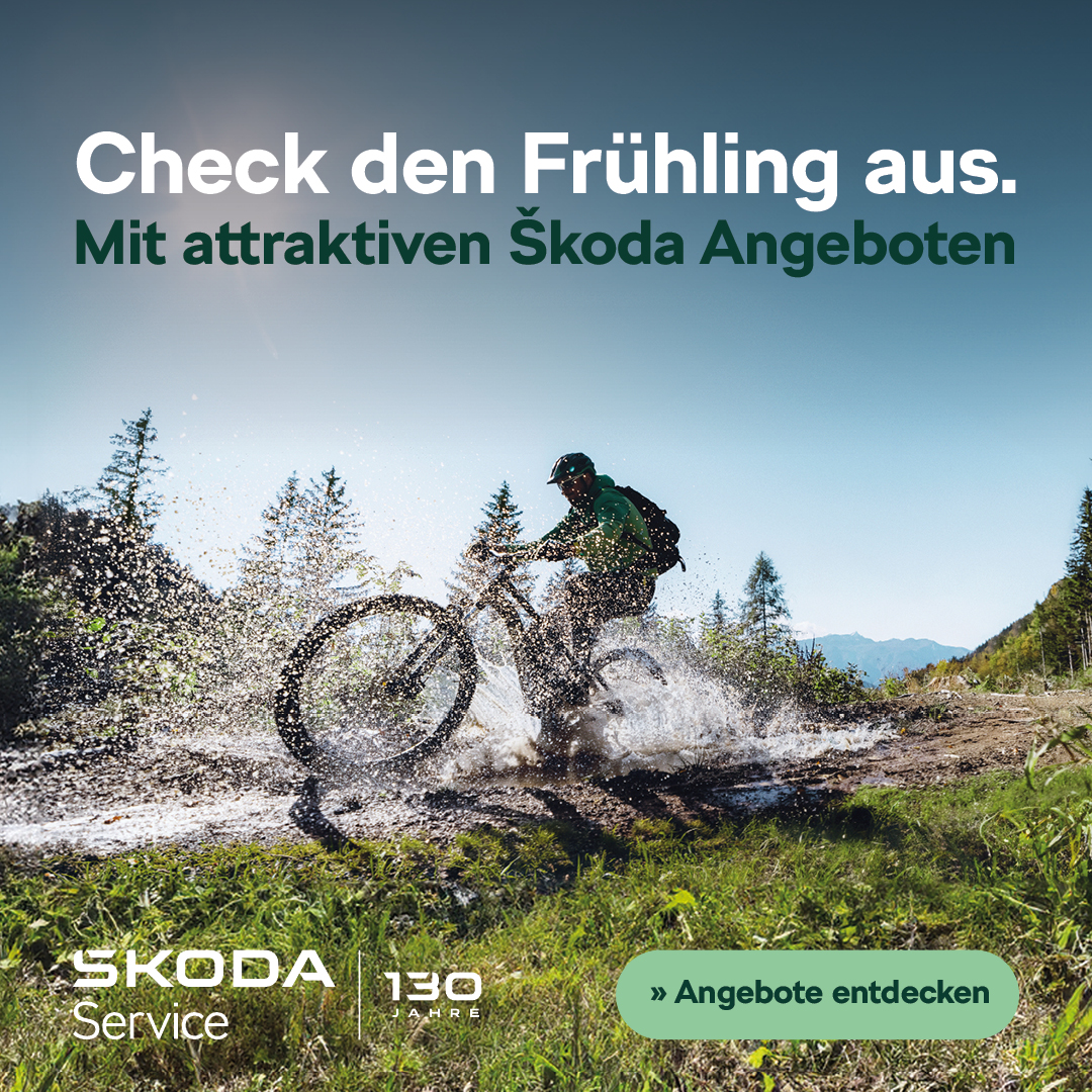 Škoda Service Frühjahrs Angebote